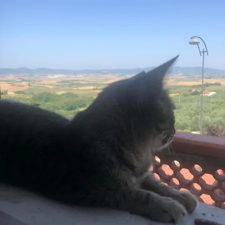 Bed & Breakfast With Panoramic Vista Santa Luce